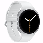 Часы Samsung Galaxy Watch 8 44mm Silver 250_100_496188